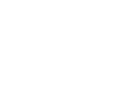 MoralesSegura